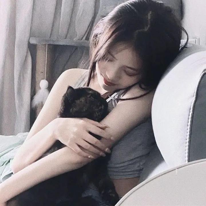 渚北谜案